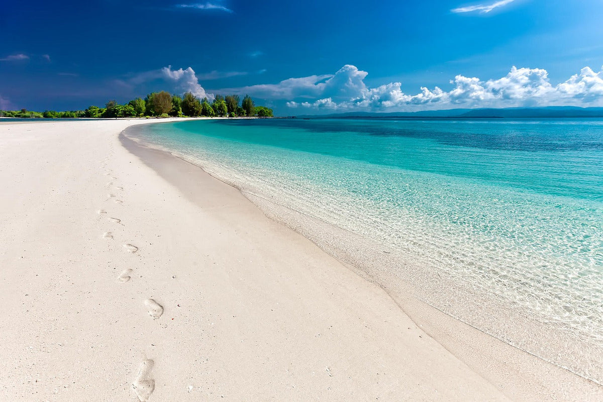 Tropical Escape