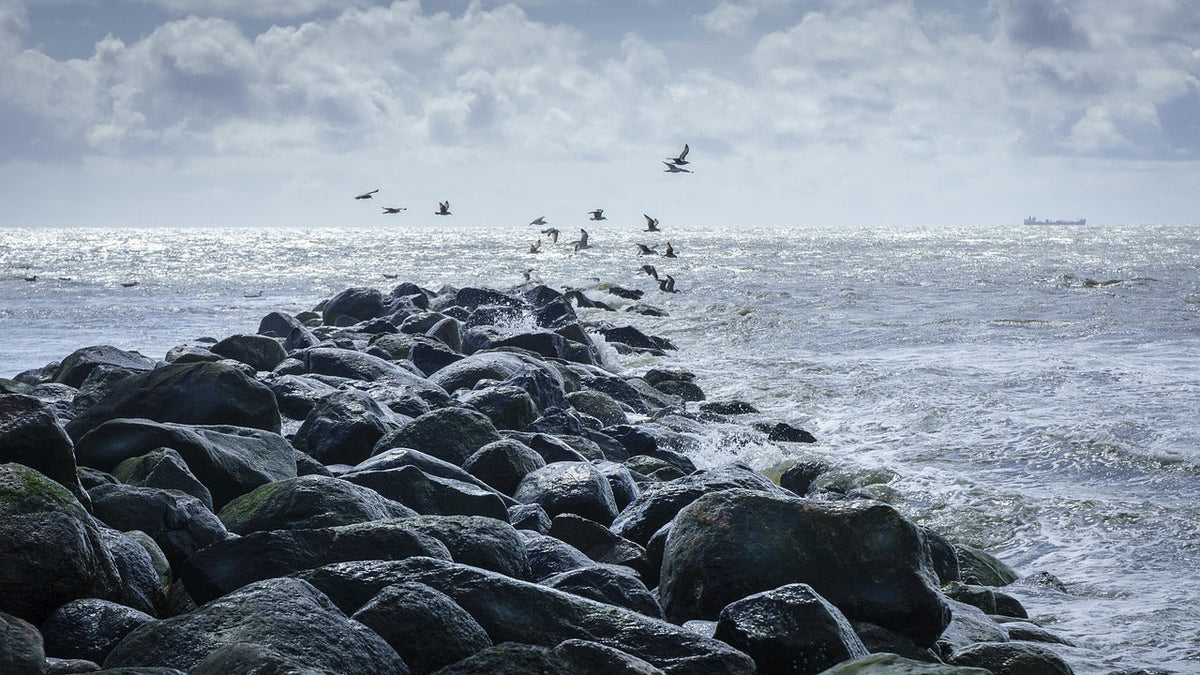 By the Sea